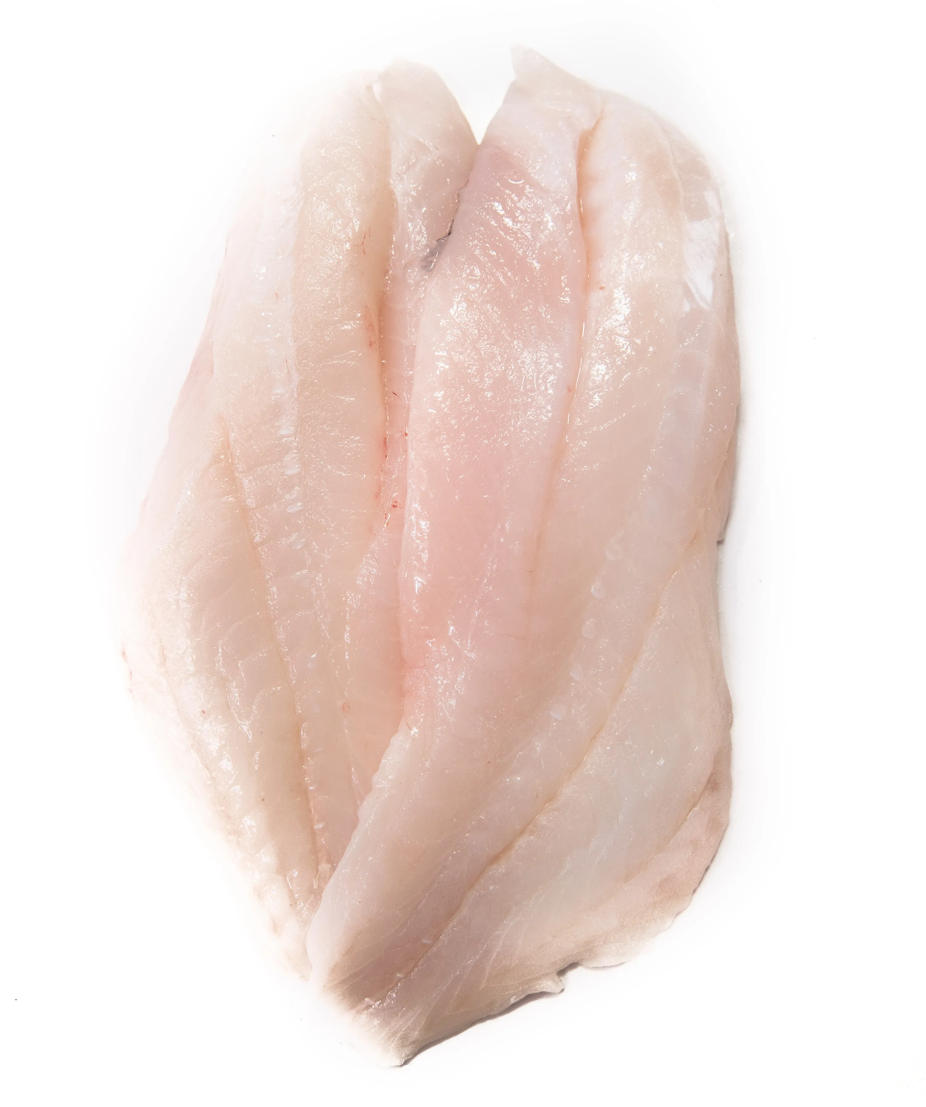 Australian Fresh Ocean Perch (Fillet)