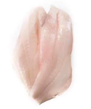 Australian Fresh Ocean Perch (Fillet)