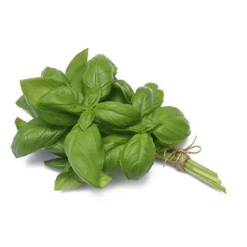 Boppa's Basil 25g