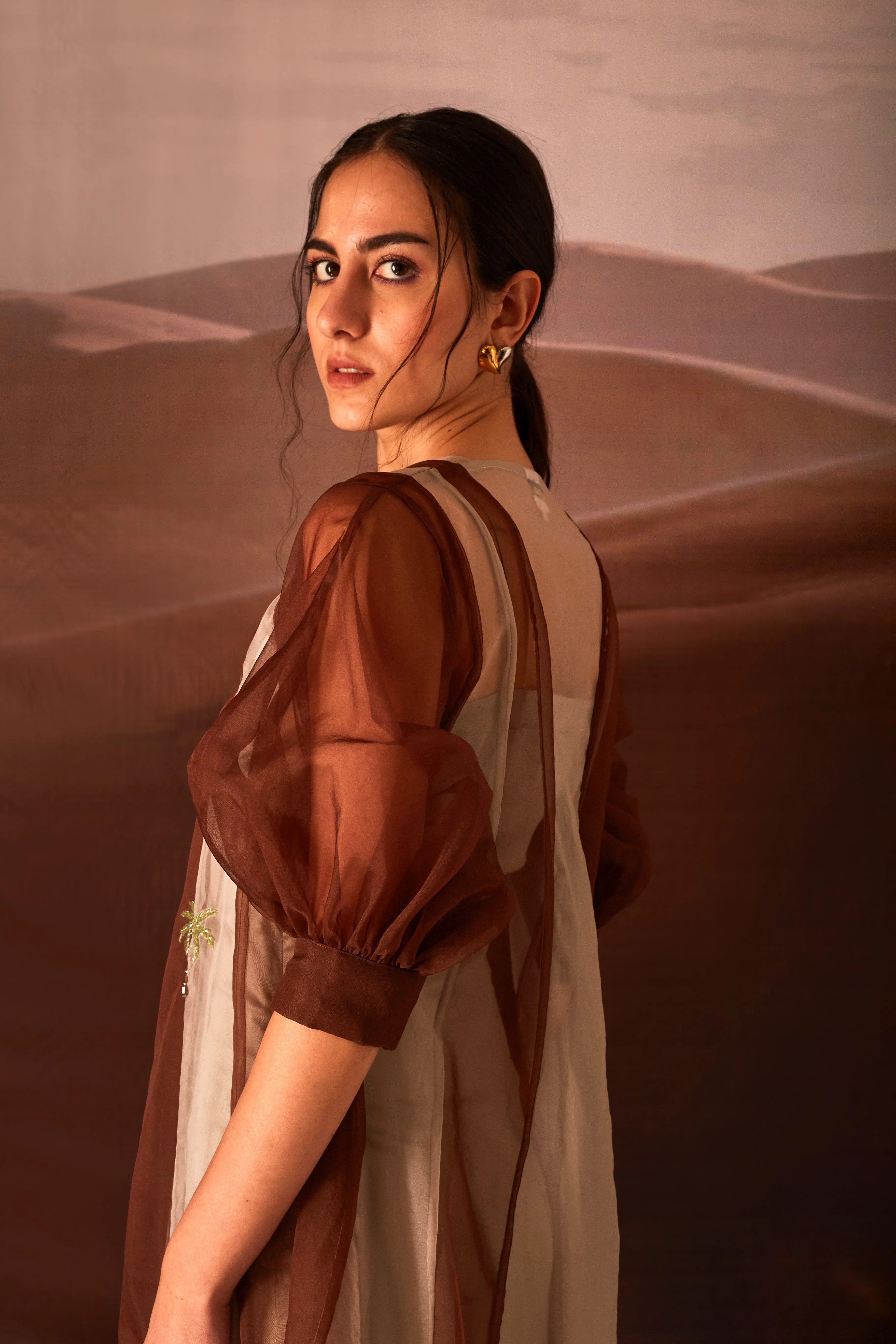 Clover Dress - Brown