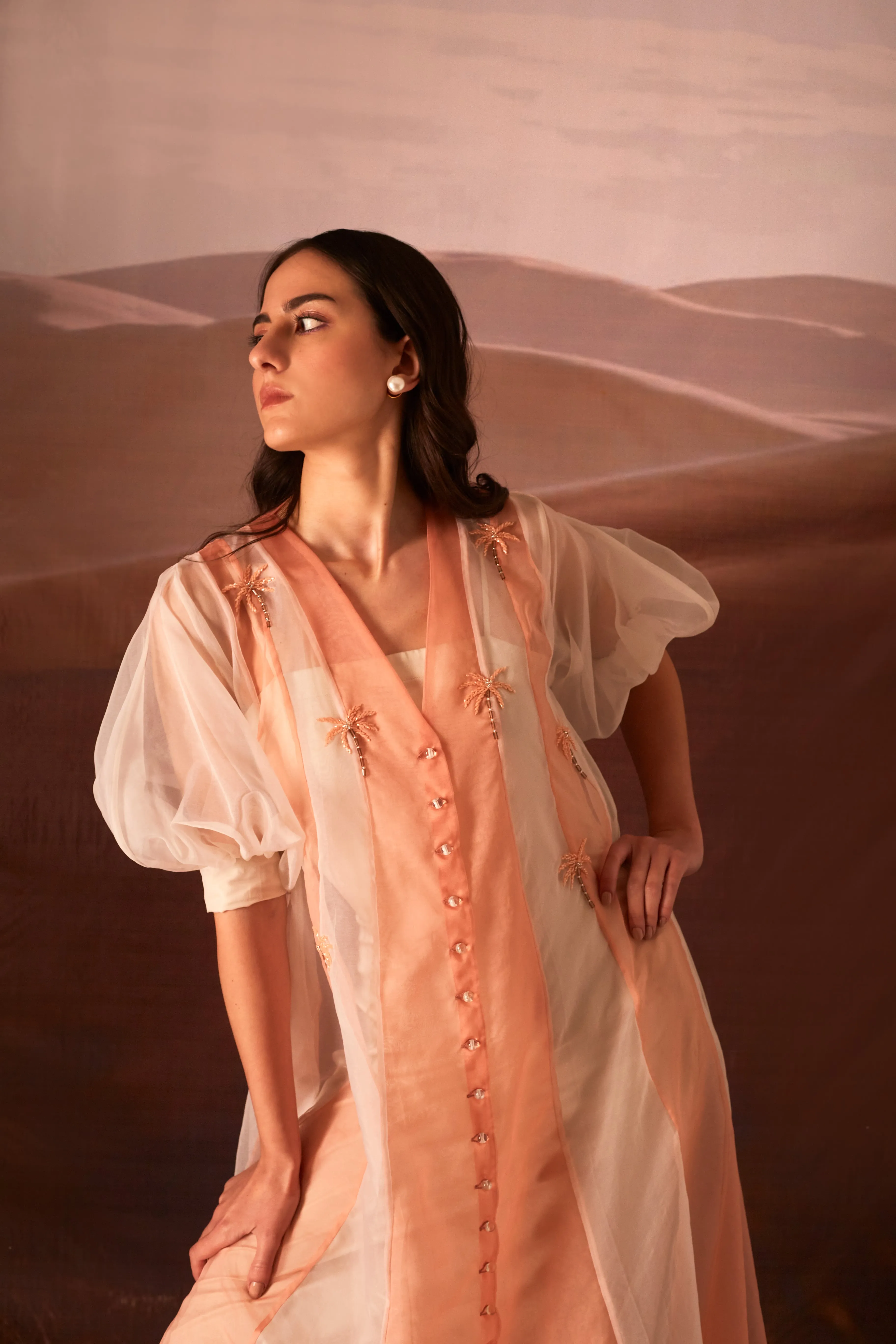 Clover Dress - Brown