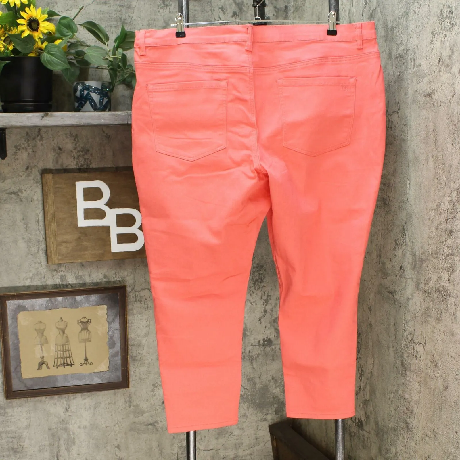 DG2 by Diane Gilman Virtual Stretch Skinny Jeans Coral Petite 24W