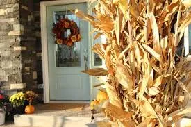 Dried Corn Stalk Bundle - 12 Per Bundle - Corn Shucks - WE DO NOT SHIP TO CALIFORNIA