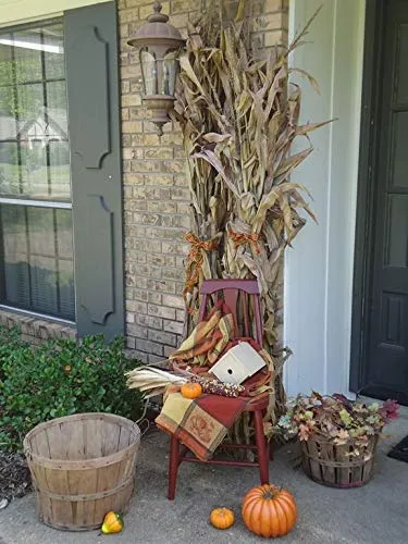 Dried Corn Stalk Bundle - 12 Per Bundle - Corn Shucks - WE DO NOT SHIP TO CALIFORNIA