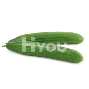 Fresh Cucumber (Pc) ~ 新鮮青瓜(條)