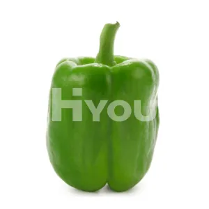 Fresh Green Pepper 400g ~ 新鮮青椒 400g