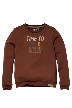 Kars Jumper in Brown