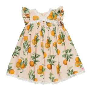 Pink Chicken Girls Katherine Dress - Pink Botanical Oranges