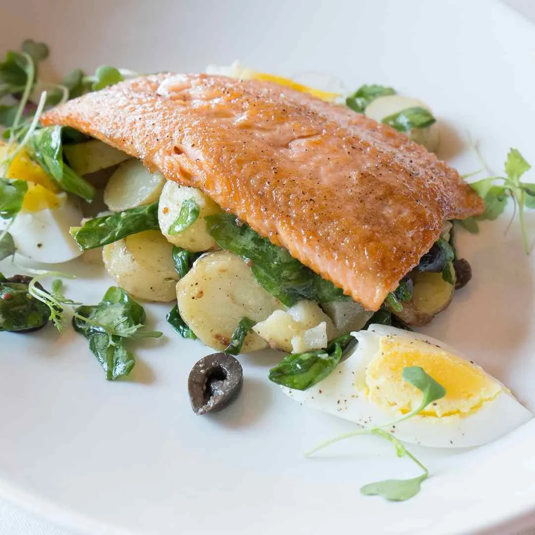Rainbow Trout