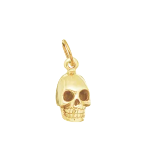 Skull for Renewal