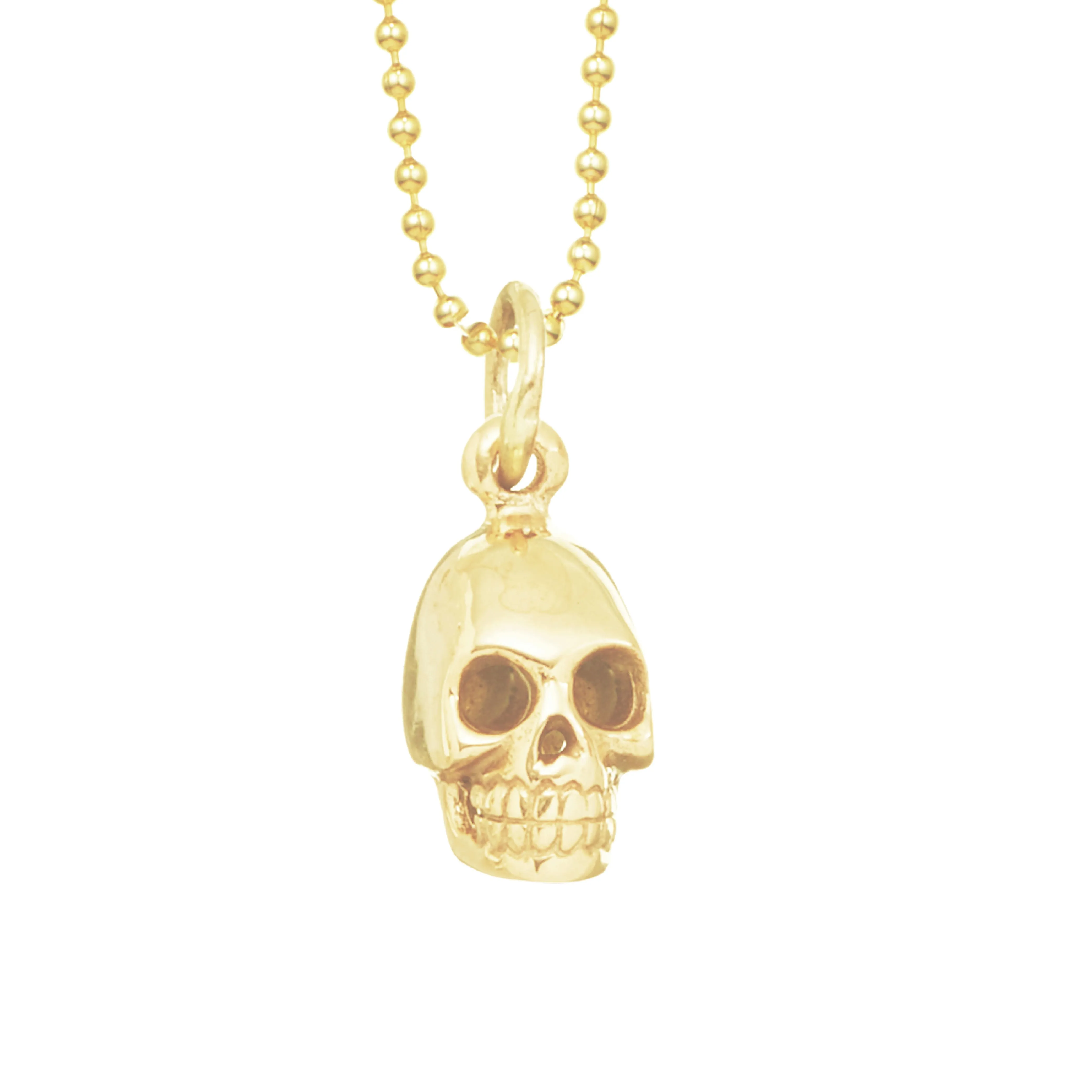 Skull for Renewal