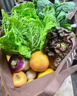 Small Fresh Harvest Basket 3 month commitment