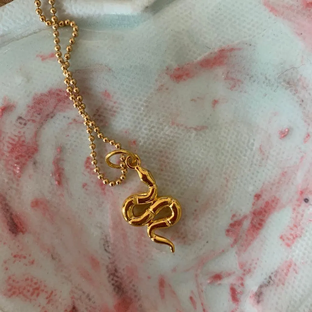 Snake for Renewal