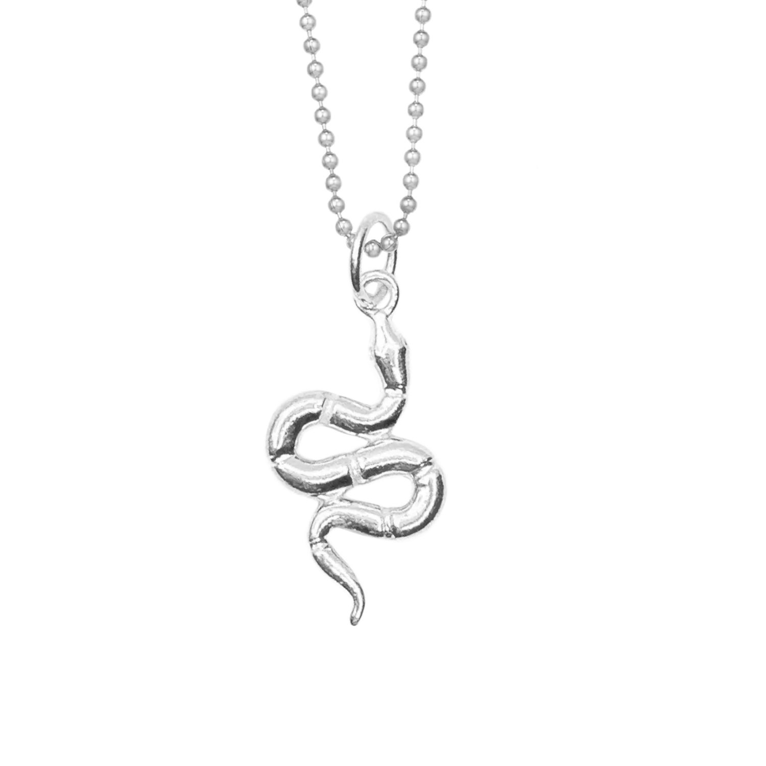 Snake for Renewal