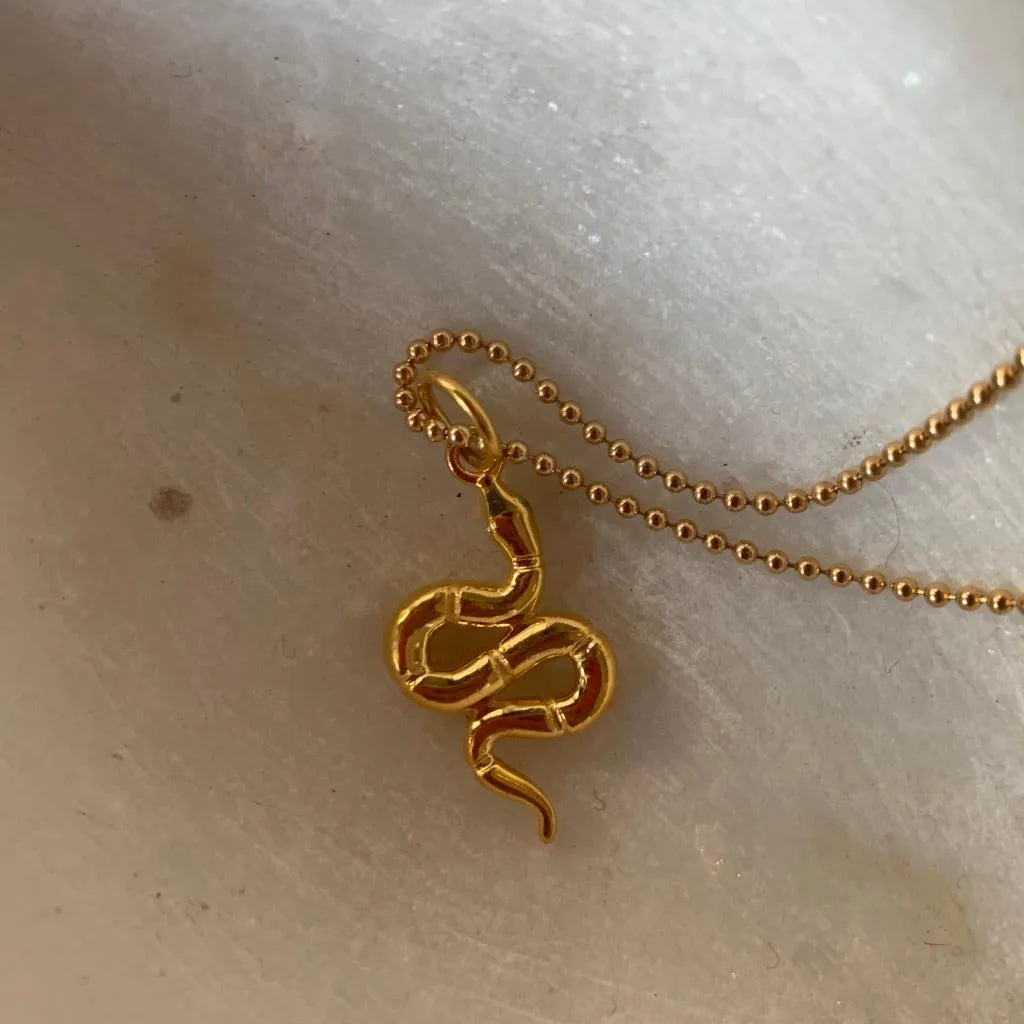 Snake for Renewal