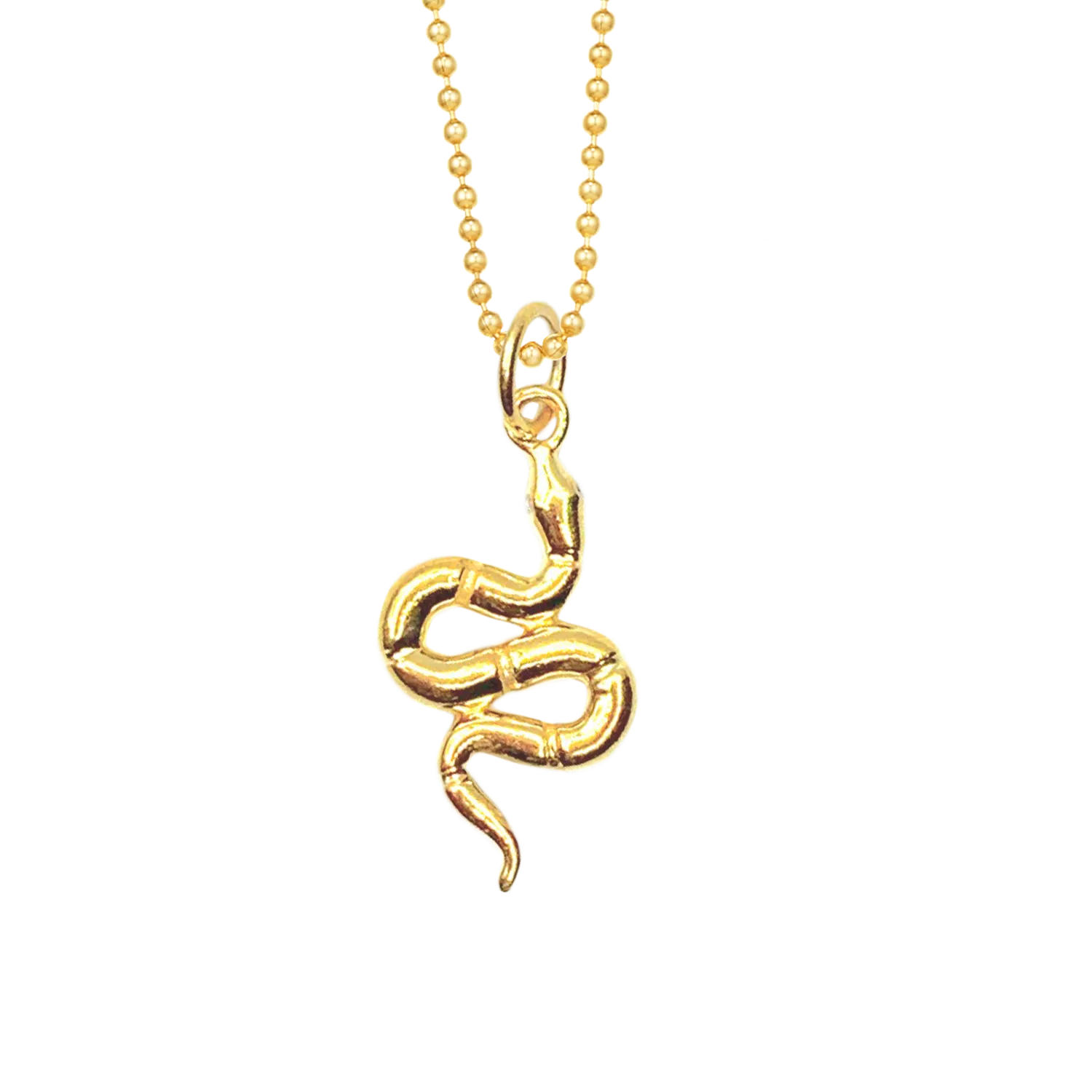 Snake for Renewal