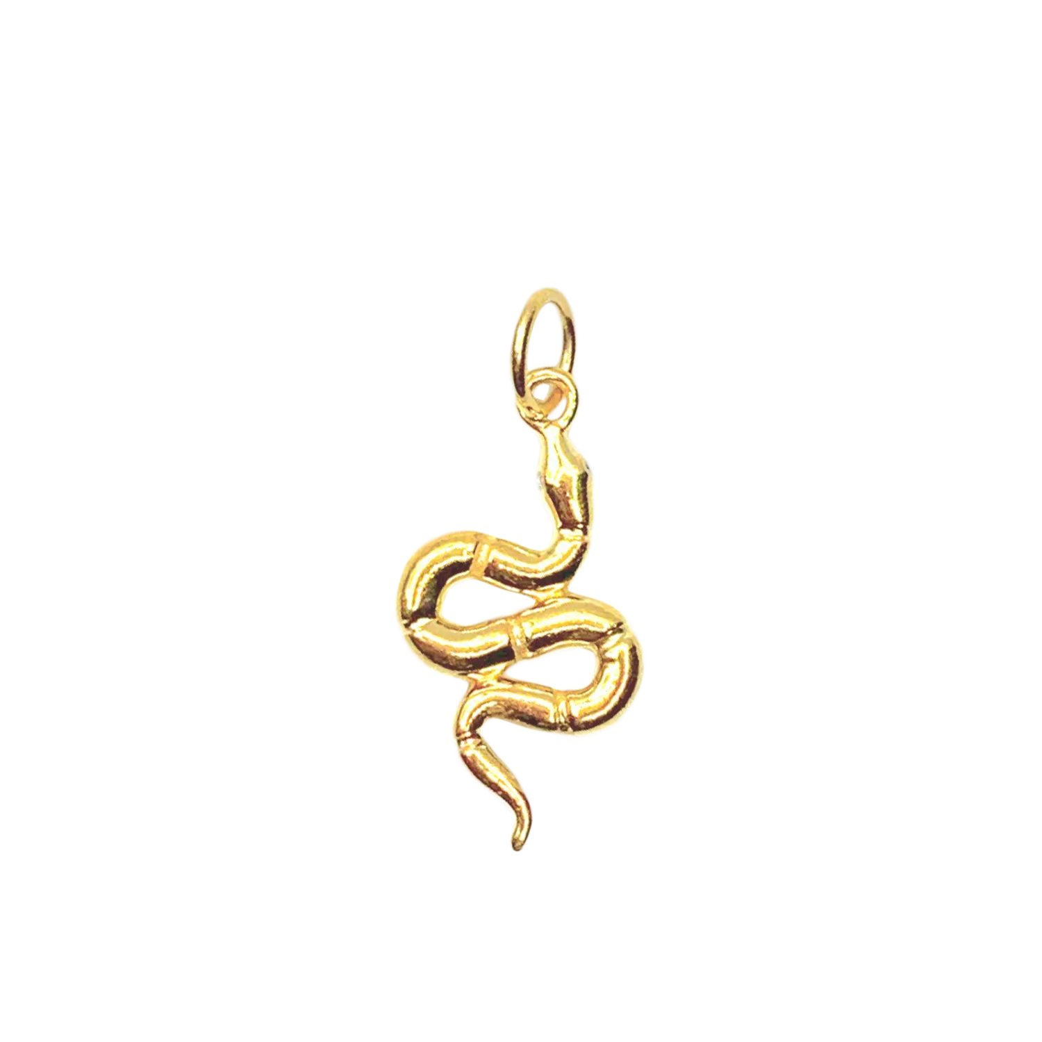 Snake for Renewal
